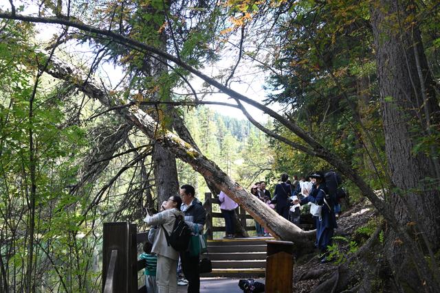 晴空碧水迎客来 国庆长假神仙池自驾游热度不减