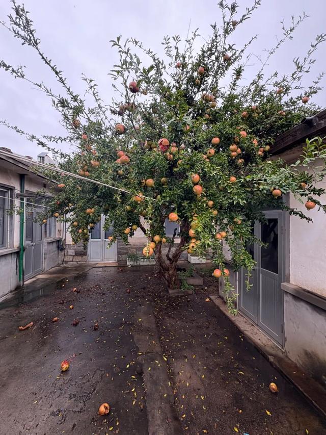 10月，「需要另一个同类」
