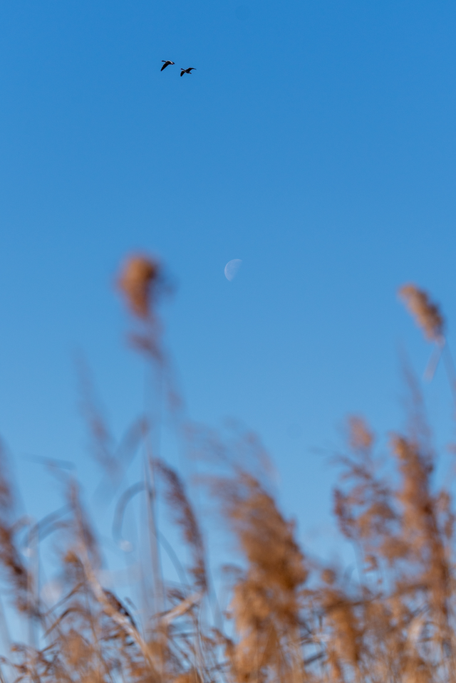 听说东营竟然“下雪”了？？？