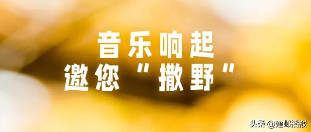 高粱地里的音乐会,可“撒野”