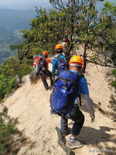 天价陪爬！峨眉山惊现“陪爬”，日薪最高3000元，服务边界引热议