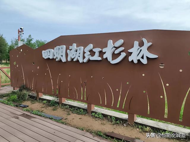 余姚慈溪五日休闲游