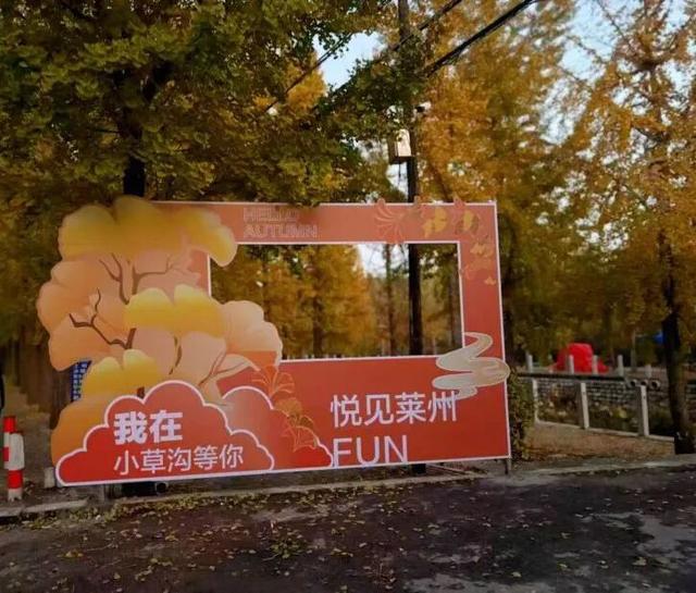 莱州的秋天就要这么玩！这个周末，来小草沟chill一下吧~