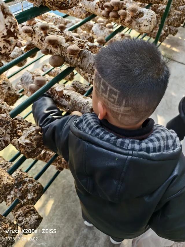 刚刚传来，颍东竟有这么多宝藏地？！今天，好多阜阳人都去了！直击现场......