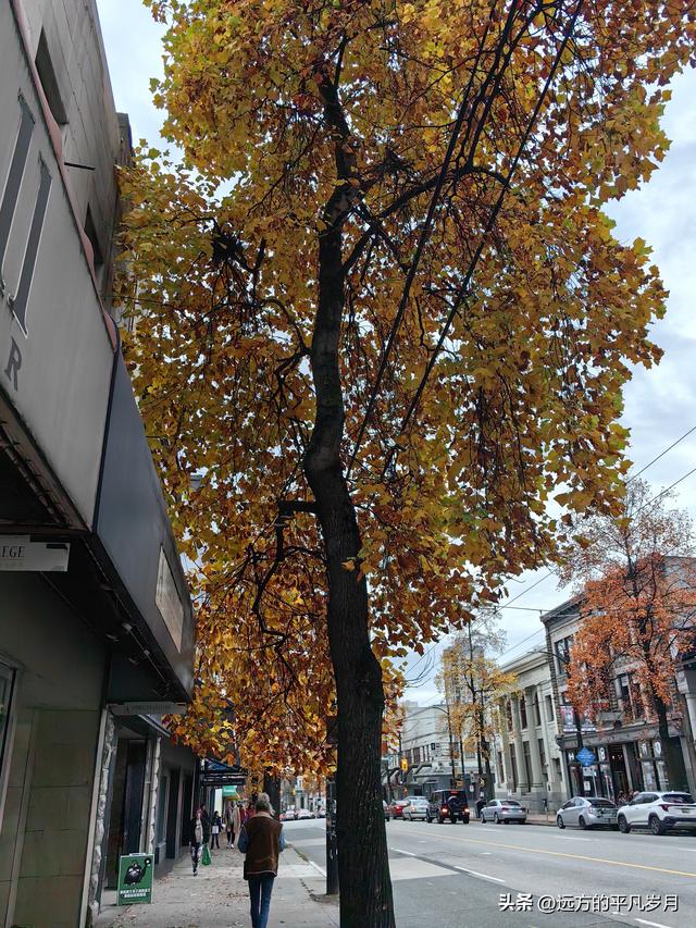 温哥华游记（三）