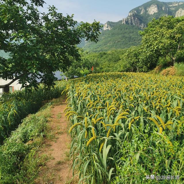 &056.炎炎烈日哪里去--张夏洞府天