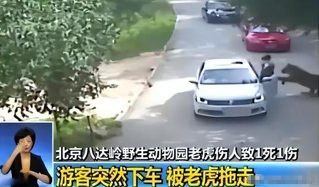 16年，母亲虎口救女被咬身亡，女儿至今未得到父亲原谅：谁的责任