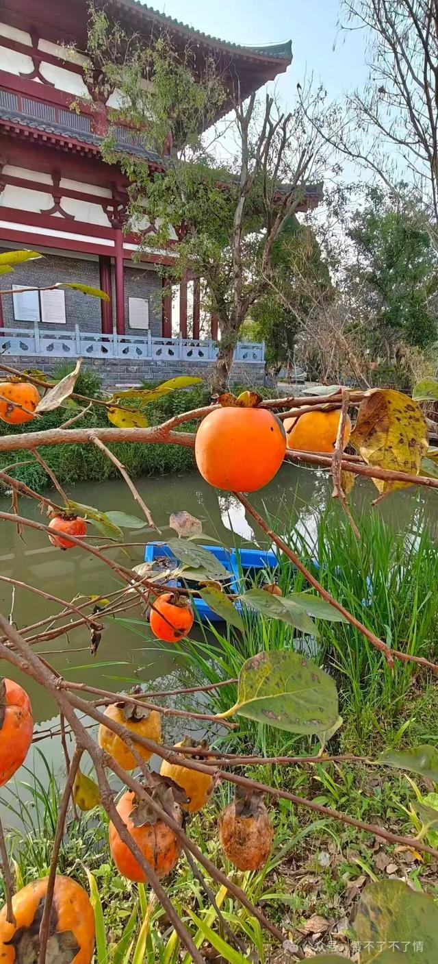 光山文殊寺,秋日的宁静与闲适