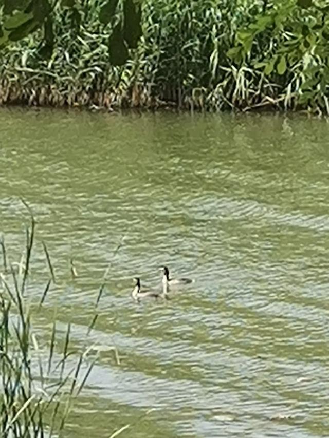 沈阳丁香湖公园