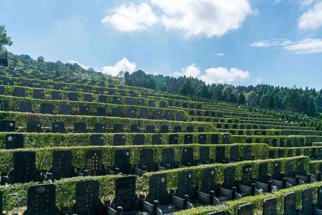 中国将迎人口死亡高峰？22年1041万	，23年1100万，去年死亡多少？