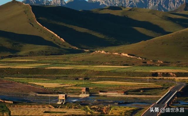 重走丝绸之路，这支“东天山来的骆驼队”到哪了？