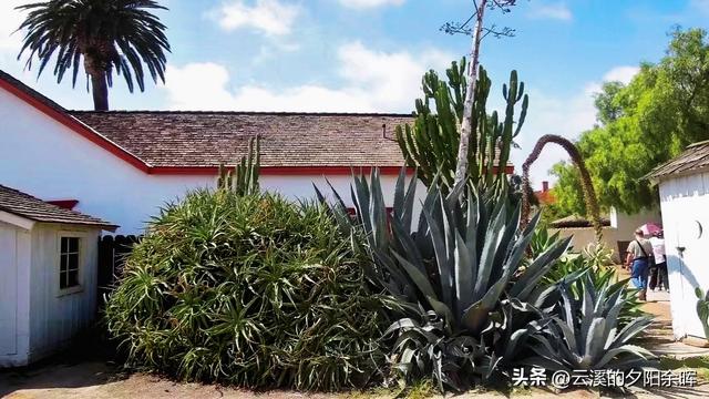 美国东西海岸游（七）——海风与时光交织的圣地亚哥一日游