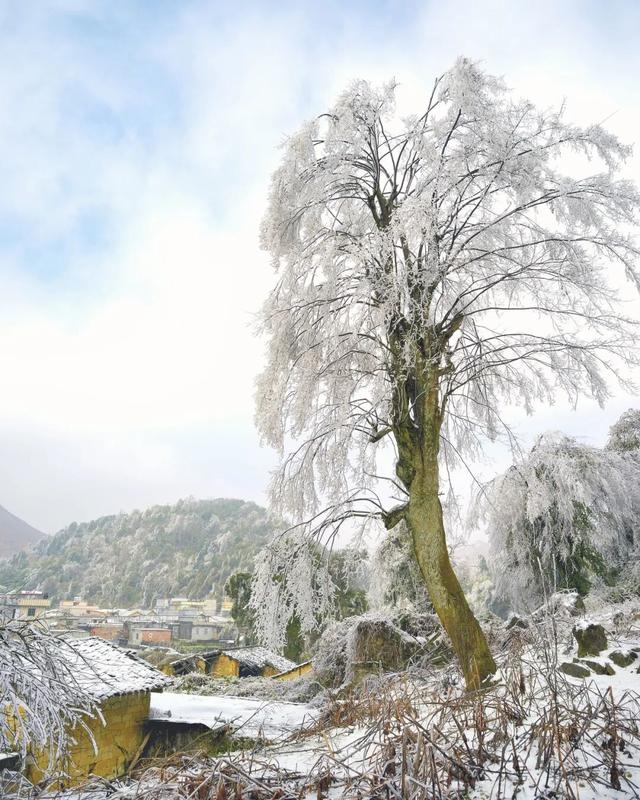 美如仙境！韶关这个地方迎来今年首场冰挂雾凇景观，秋冬来旅行，赏雪泡泉看红枫为你安排好了
