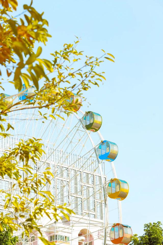 春色满园！东湖公园花开正当时，等你来邂逅