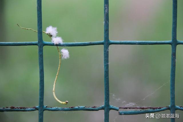 姚洋离京感言与北京到底如何？