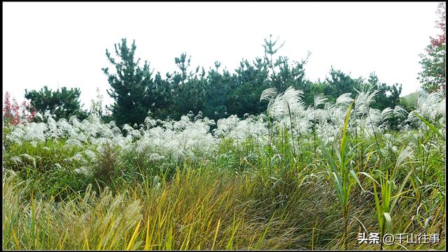 车轮碾过诗与画：枣庄骑行打卡地全攻略（老骑友多年亲测推荐）