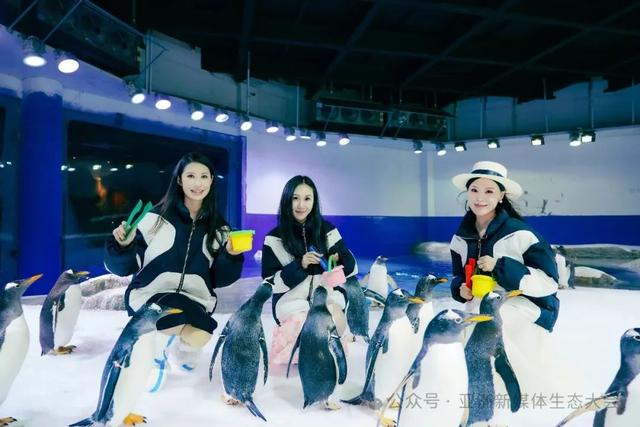 8月29日，亚洲小姐总决赛和陵水有约！佳丽同款打卡点→