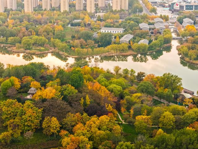 初冬访复圣文化园：与色彩和哲思对话