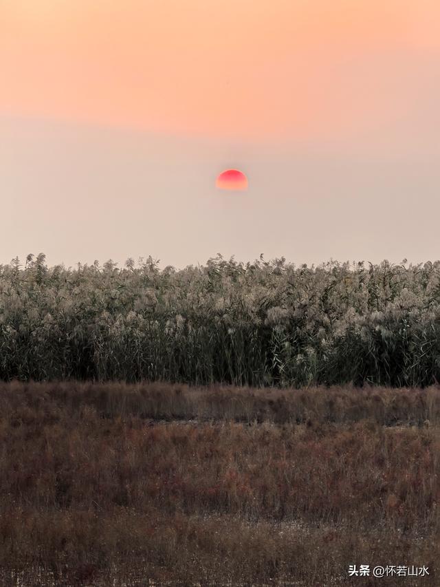 2025辽宁赏秋之旅日记(6)——到辽河口中国最北海岸线看日出 观鸟