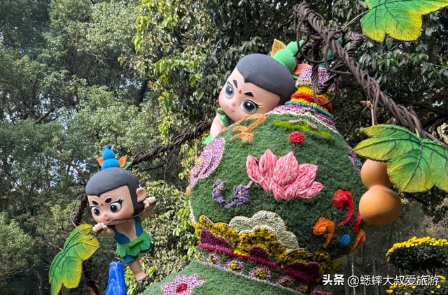 2025杭州植物园菊花展与四大分会场攻略来了，涉及赏玩交通！