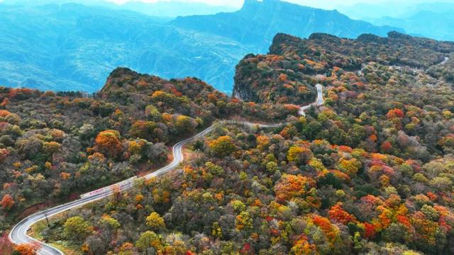 广元不远 周末优选 | 秋天的第一场旅行，坐高铁来广元“晒”秋吧！