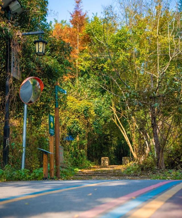 彭州这条“世界级”徒步线，走起！