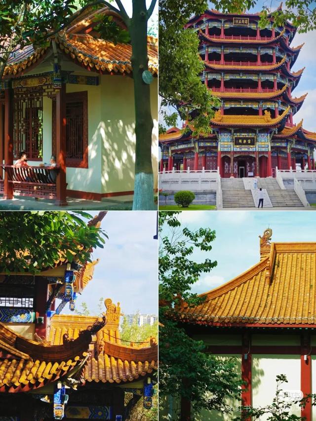 周末就冲！成都出发40min直达浪漫小城，喂海鸥逛古寺！