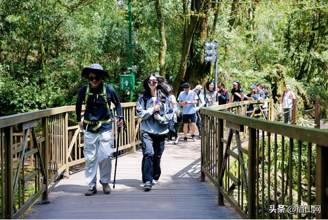 “一生一世”赴春约！瓦屋山景区B线3月4日全线开放，免门票赴约！