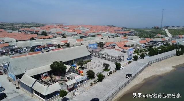 中国天鹅之乡-荣成烟墩角,冬季出游必打卡的景观之一,门票免费