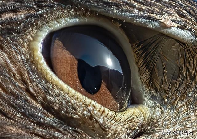 南疆寻秋--富士GFX100 II刻画南疆的雪山、沙漠与胡杨