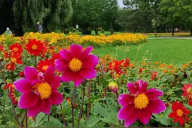 听姥爷讲他小时候的故事儿图片