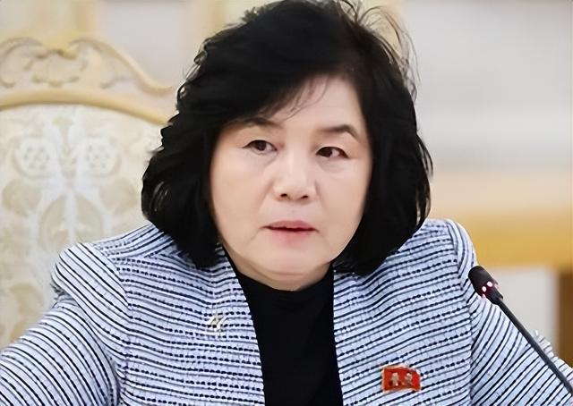 没白来中国一趟，金将军心腹来华，从王毅嘴里听到了最想听的话