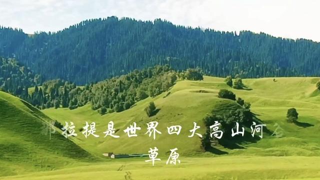 新疆的美，是刻在骨子里的辽阔与纯粹（七）