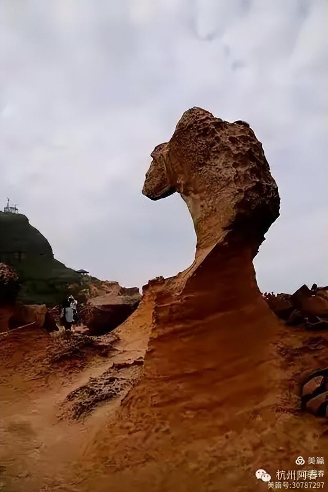 宝岛台湾 之 野柳