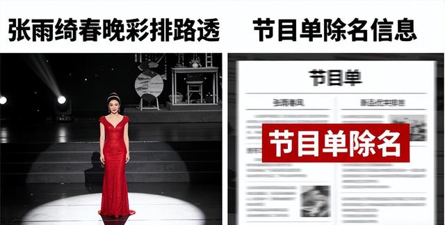 国家出手，张雨绮恐彻底凉凉！私生活再添实锤，不止代孕这么简单