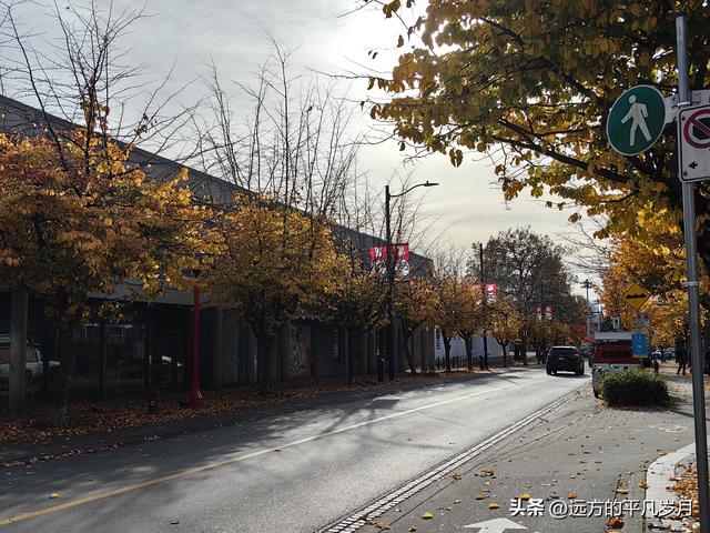 温哥华游记（六）