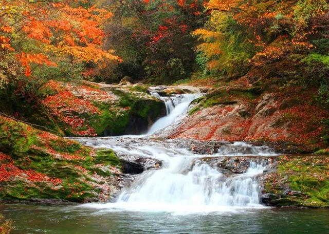 赏秋正当时！自驾来汉中，赴一场秋日视觉盛宴~