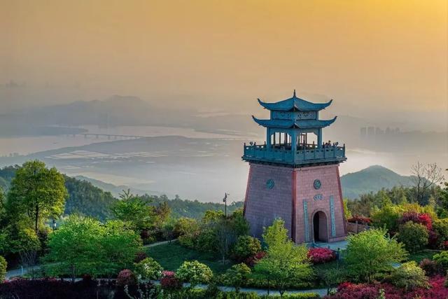 五一赴义桥｜三条专属游玩路线，解锁假日最惬意的打开方式