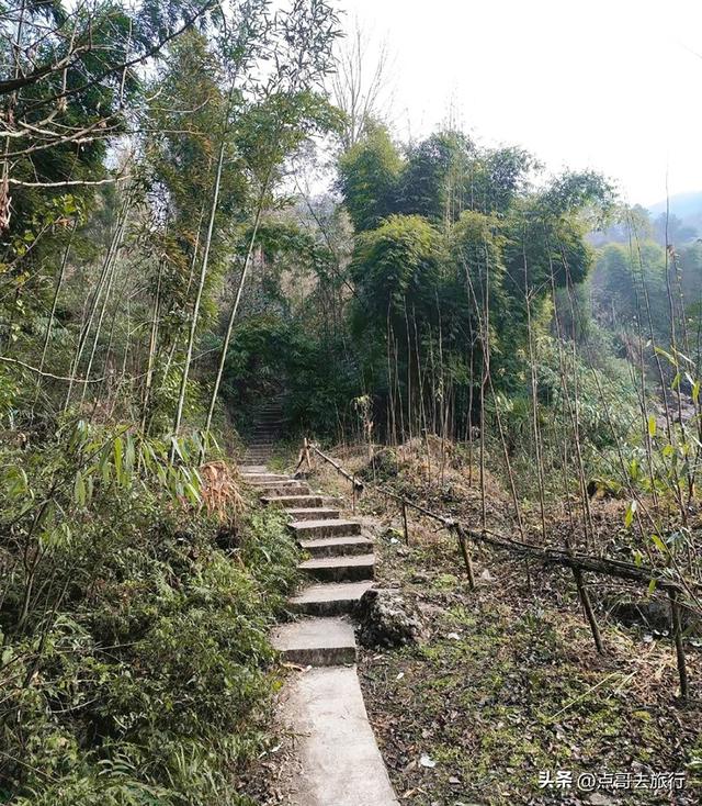 成都冬天爆火的徒步赏花，拍照赏景超级惊艳，全部免费！