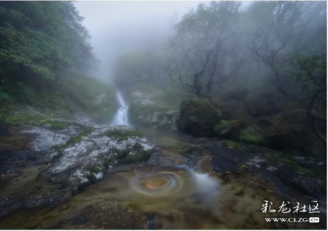 迷雾森林-探秘轿子山