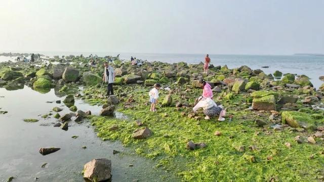 宝藏小城（荣成）漫游记 |想赶海！来荣成！