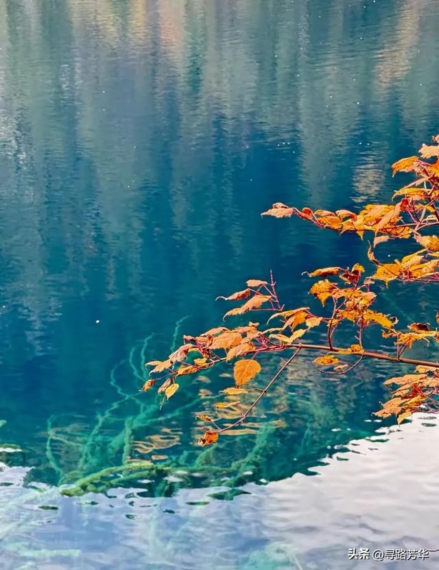 奔赴深山巨谷中嫩恩桑措,寻找内心片刻的宁静