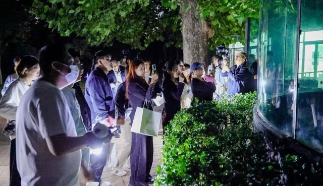感受“动物园奇妙夜”