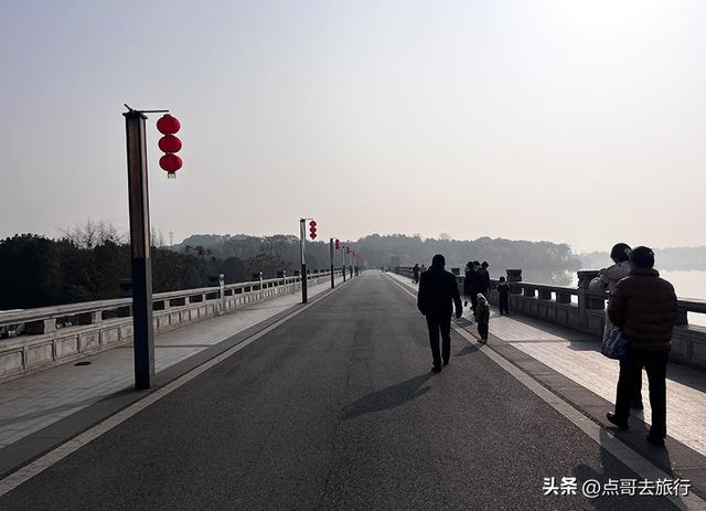 成都最大规模冬樱花开了，1000多株，惊艳壮观，免费，地铁直达！