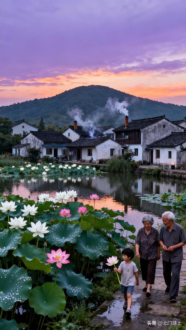 阳山镇桃源村：水美田园地 梦里“桃花源”