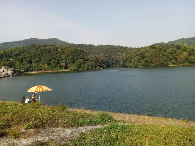 童年里的广州军区157医院,那时候的美好记忆。