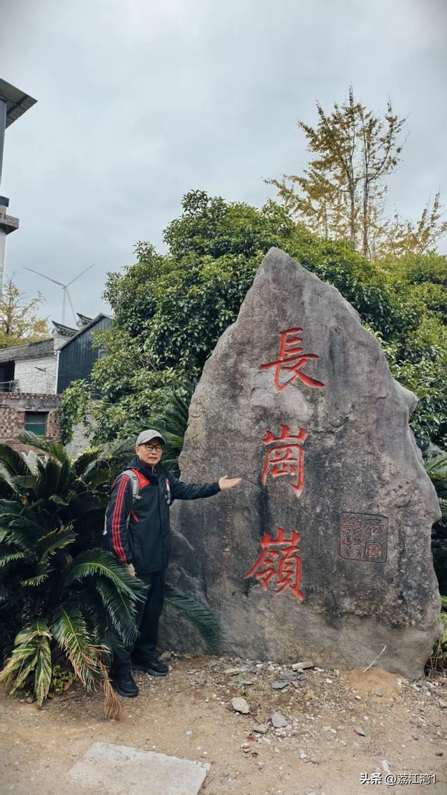 游长岗岭古村，观飘黄银杏