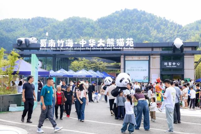 冬日竹海，限时特惠！淡季门票+超值年卡，承包一整年的美景