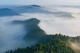龙泉山：国家储备林项目建设带来新变化图片