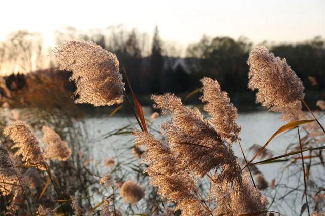 用电影的方式“打开”初冬！每一帧，都浪漫